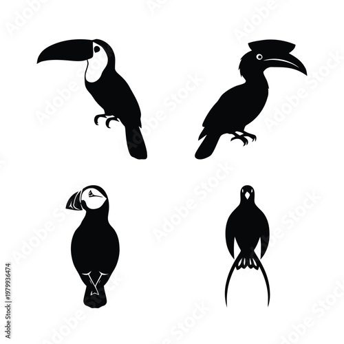 Collection of four distinct bird silhouettes: toucan, hornbill, puffin, and a long-tailed exotic bird, in a minimalist black and white graphic style.