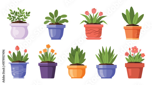Selection of ten different indoor house plants and flowers in colorful ceramic pots for home or office decoration.