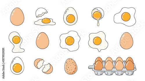 Different types of chicken eggs shown in raw fried boiled and cracked states along with a carton full of whole eggs.