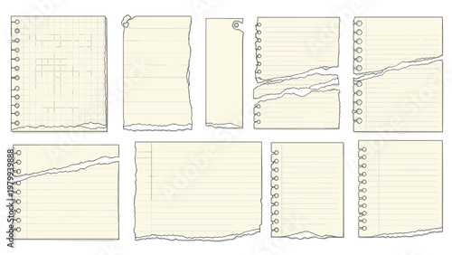 Diverse set of various shapes and sizes of torn notebook paper with lined and grid patterns for notes and scrapbook projects or memos.