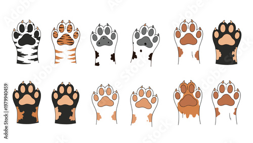 Collection of colorful cat paws with diverse fur patterns including stripes and spots presented in a clean illustrative style.