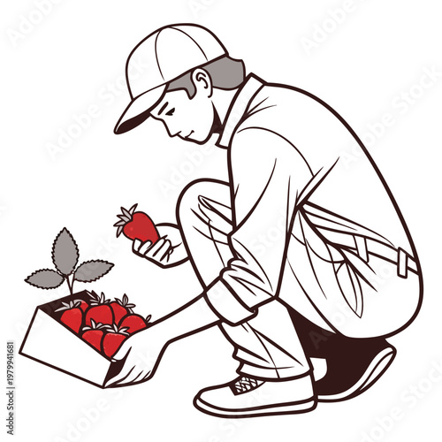 Man in a cap picking strawberries from a box