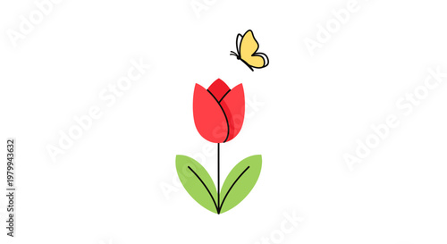 Red Tulip Flower with Green Leaves.