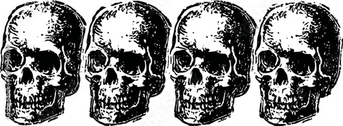 Four detailed human skull illustrations in black and white line art style, anatomy and medical concept