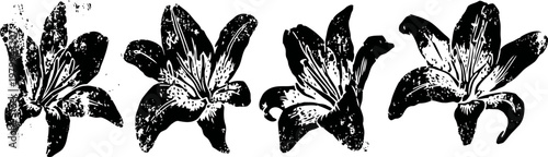 Black and white stylized lily flower illustrations with detailed petals and stamen design