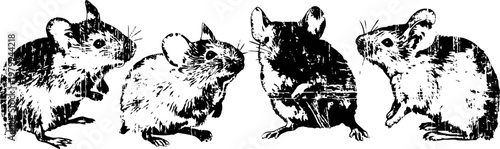 four black and white mice facing each other in a line, detailed ink sketch