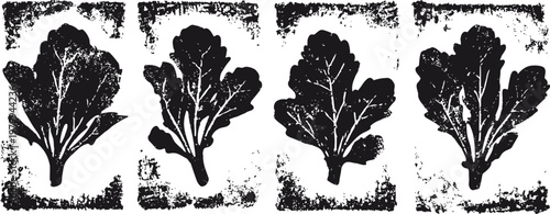 grunge set of four black silhouette spinach leaves with textured borders