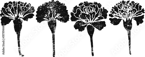 silhouettes of carnation flowers four floral black and white detailed stems hand drawn botanical illustration with intricate leaf and petal shapes