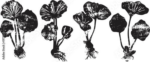 Hand drawn vintage botanical illustrations of medicinal plants with roots and leaves