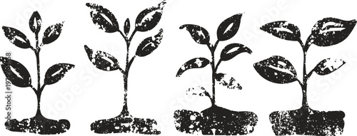 four young plant seedlings growing in soil with leaves and roots, symbolizing growth and nature