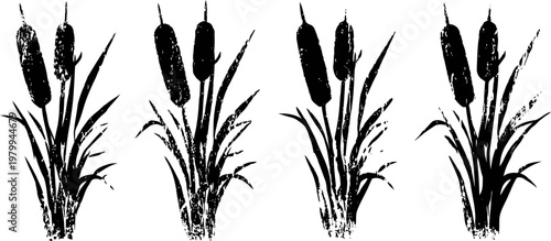 cattail plants silhouette set with long slender leaves and cylindrical flower spikes isolated on white