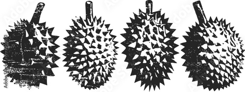 Four durian fruits with spiky shells in black and white silhouette on white background