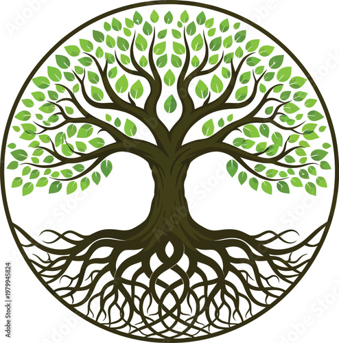 Tree of life symbol roots trunk and canopy illustration