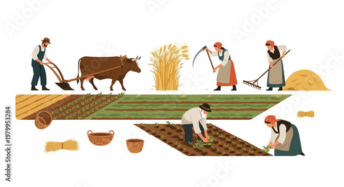 Farmers working in a field with a cow, planting and harvesting crops in a traditional agricultural setting