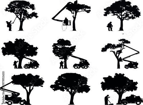 Eight black silhouettes of tree care workers on transparent background illustrating various stages of tree pruning and maintenance