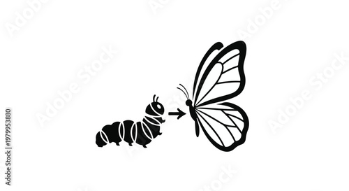 Elegant Black and White Butterfly Isolated on White Background with Detailed Wing Pattern for Nature and Design Concepts