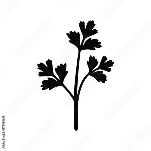 Elegant silhouette of a parsley plant with detailed leaves and stem design