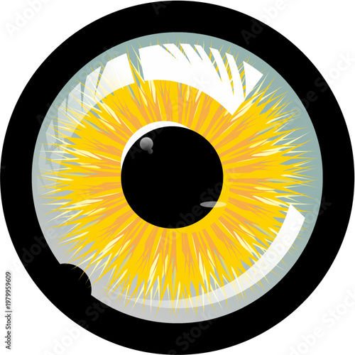 eye icon