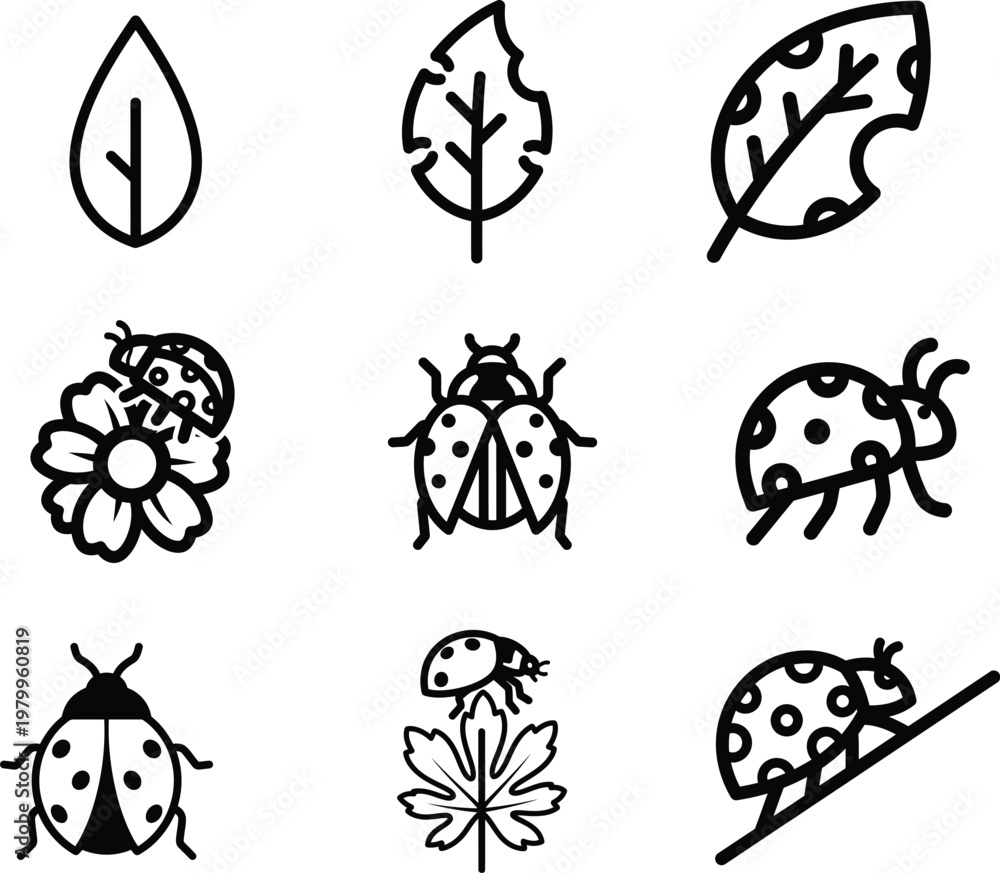 Obraz premium Black and white illustrations of ladybugs and leaves on white background