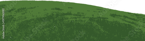 Close-up view of lush green grass texture, showcasing the vibrant and detailed blades in a natural, outdoor setting