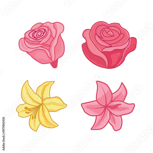 colorful flowers, roses and plumeria on white background