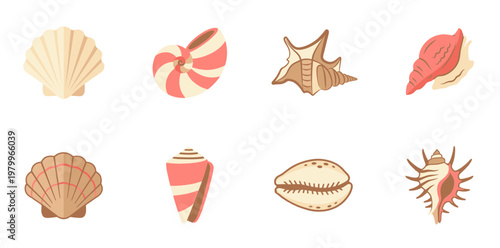 Collection of Various Sea Shells and Nautiluses Vector Illustrations, Set of Different Ocean Conch Shell Shapes Isolated on White Background