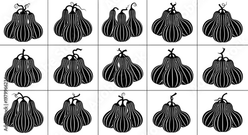 Collection of black and white illustrations of onions in rows on plain background