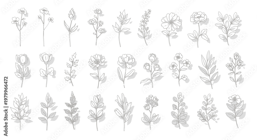 Fototapeta premium Minimalist hand drawn botanical line art, set of 27 elegant floral sketches and wild flower icons, delicate grey ink vector illustrations for wedding stationery