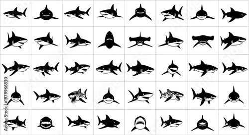 Collection of various shark silhouettes on white background black icons marine life symbols ocean predators
