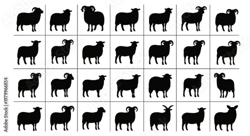 Collection of black sheep silhouettes in various poses on white background for design use