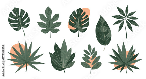 Set of vibrant green tropical leaf illustrations including monstera, palm, and fern fronds with abstract peach color shapes.