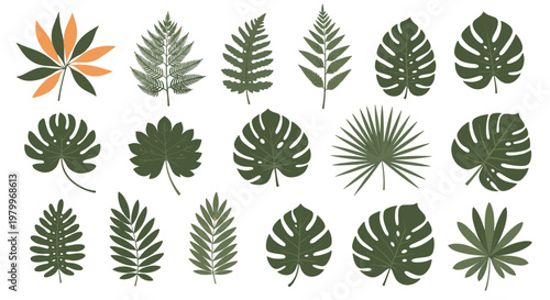 Comprehensive collection of various green tropical and forest leaves including monstera and palm fronds on white background.