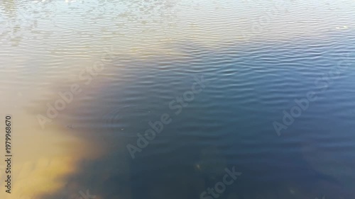 Calm water surface with gentle ripples and warm sunlight reflection.