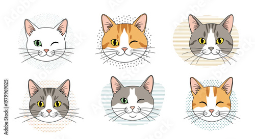 Six adorable cat faces are displayed with different fur patterns and playful expressions against various textured backgrounds.