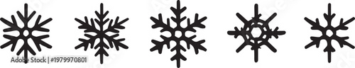 Five distinct snowflake designs showcasing unique crystalline structures and patterns. Vector