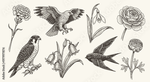 Set of of birds and flowers. engraving illustration birds and flower