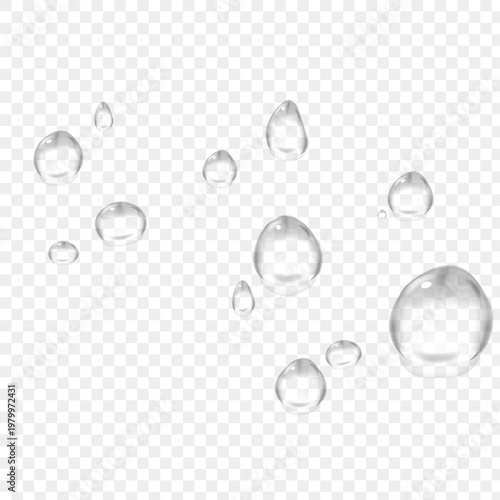 Vector Water drops on glass. Rain drops. Vector splashes, transparent drops, dew drops, water condensation