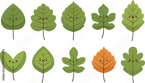 Cute cartoon leaf characters vector set with smiling faces various green and autumn leaves isolated nature illustration