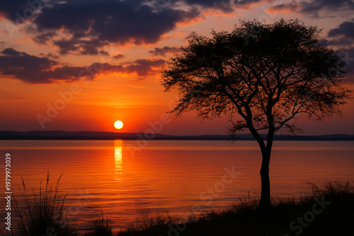romantic sunset by the sea sun reflecting in the surface