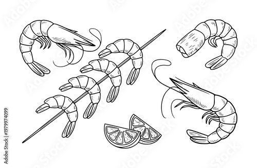 Hand-drawn black and white shrimp skewers and lemon slices white background prawn