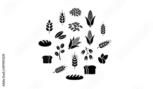 Agriculture grain icon collection with wheat rice corn and barley symbols in circular layout grey vector isolated on white background