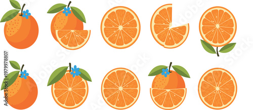 Orange fruit collection with whole sliced and cross section pieces flat colorful vector illustration fresh citrus food isolated background