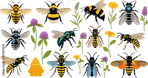 Bee and Flower Icon Set Featuring Various Bee Species, Honeycomb, and Floral Elements for Nature, Wildlife, and Environmental Design Projects