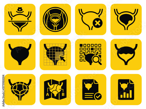 Set of medical bladder icons representing urology and bladder health diagnostic procedures.