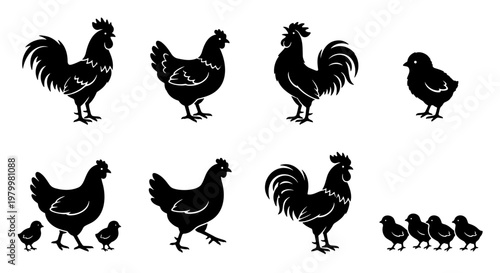 Rustic chicken silhouette collection, farm animal vector set with roosters and hens, black poultry icons for organic food branding and farm signage