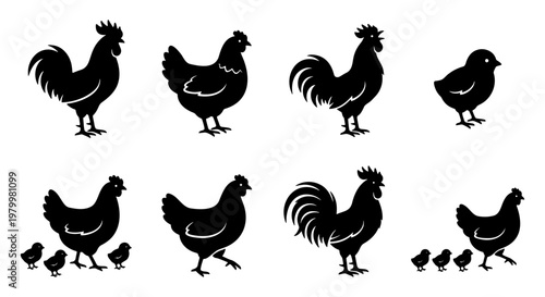 Black chicken silhouette collection, farm poultry vector set with rooster and hen icons, organic agriculture bird graphics for meat and egg packaging