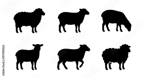 Sheep silhouette vector set, 6 black farm animal icons, woolly lamb and ram shapes, livestock silhouettes for agriculture and farm branding