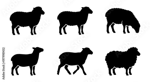 Black sheep silhouette collection, set of 6 farm animal vector icons, woolly lamb and ram standing and grazing shapes on white background
