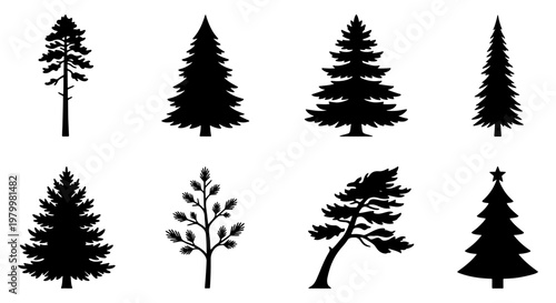 Coniferous tree silhouettes set, 8 black pine and spruce vector elements, forest evergreen icons for landscape design and winter holiday graphics