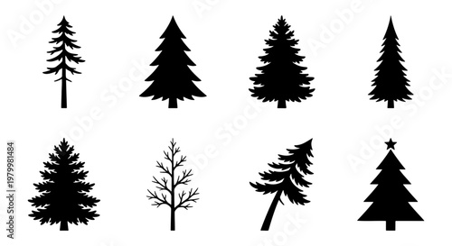 Minimalist pine tree silhouettes, set of 8 evergreen conifer vector icons, black forest fir and spruce shapes for winter landscape design